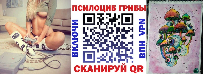 Галлюциногенные грибы Psilocybine cubensis  Слюдянка 